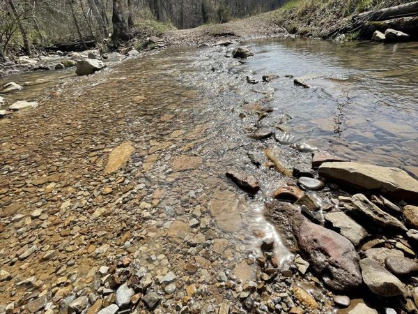 Skaggs Hollow Rd, Tazewell, TN 37879