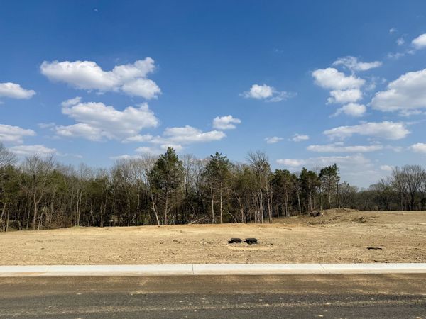 511 St Charles Dr, Arrington, TN 37014