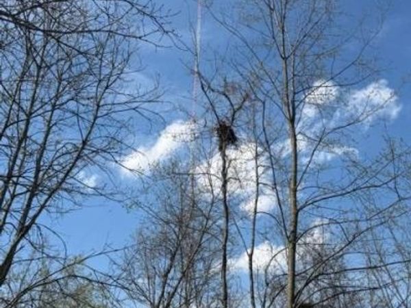 509 Route 9G , Hyde Park, NY 12538