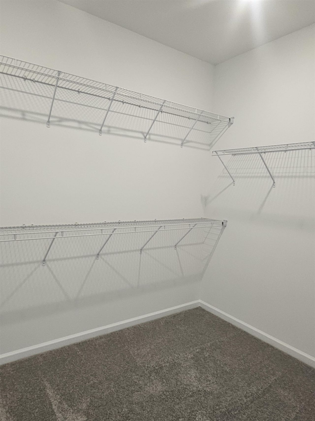 158 River Birch Dr. Photo 23