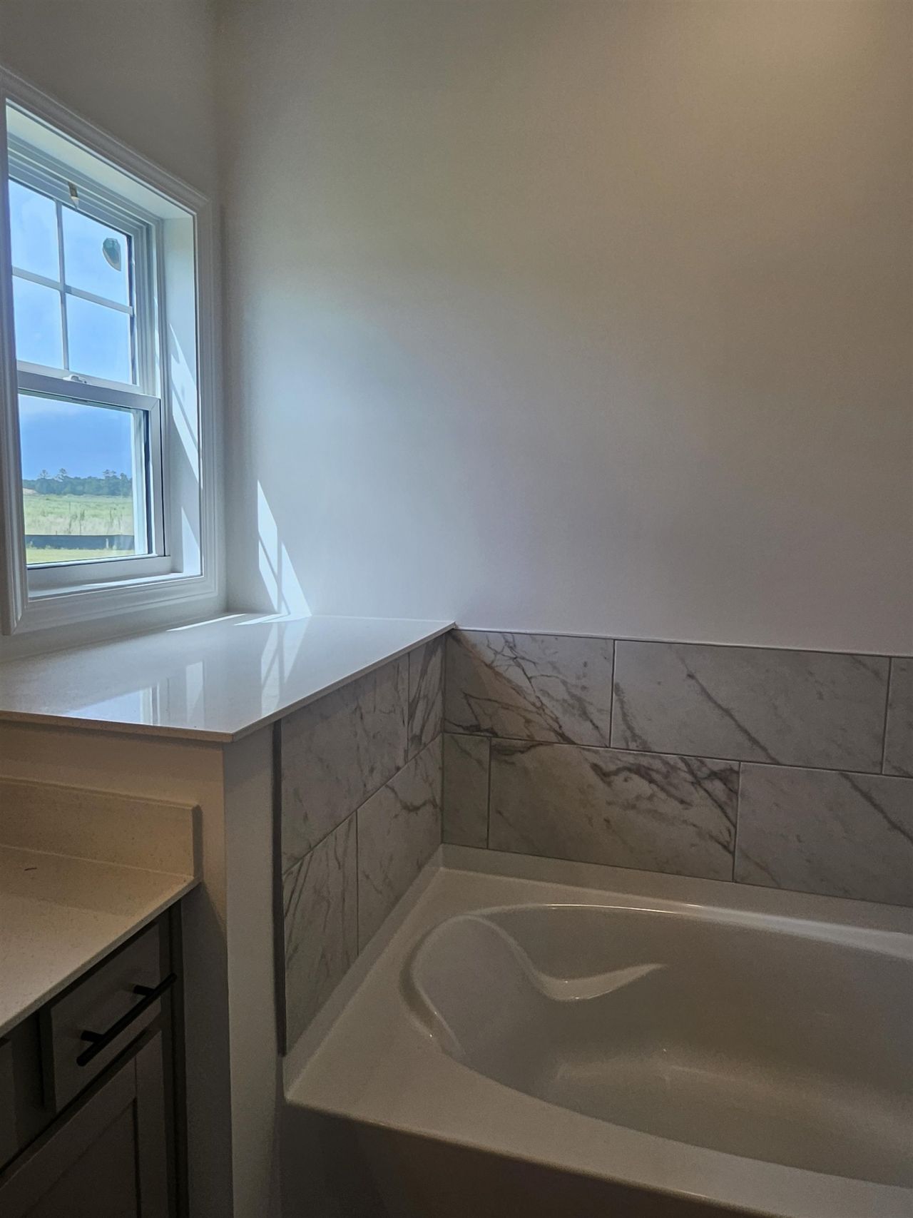 158 River Birch Dr. Photo 25
