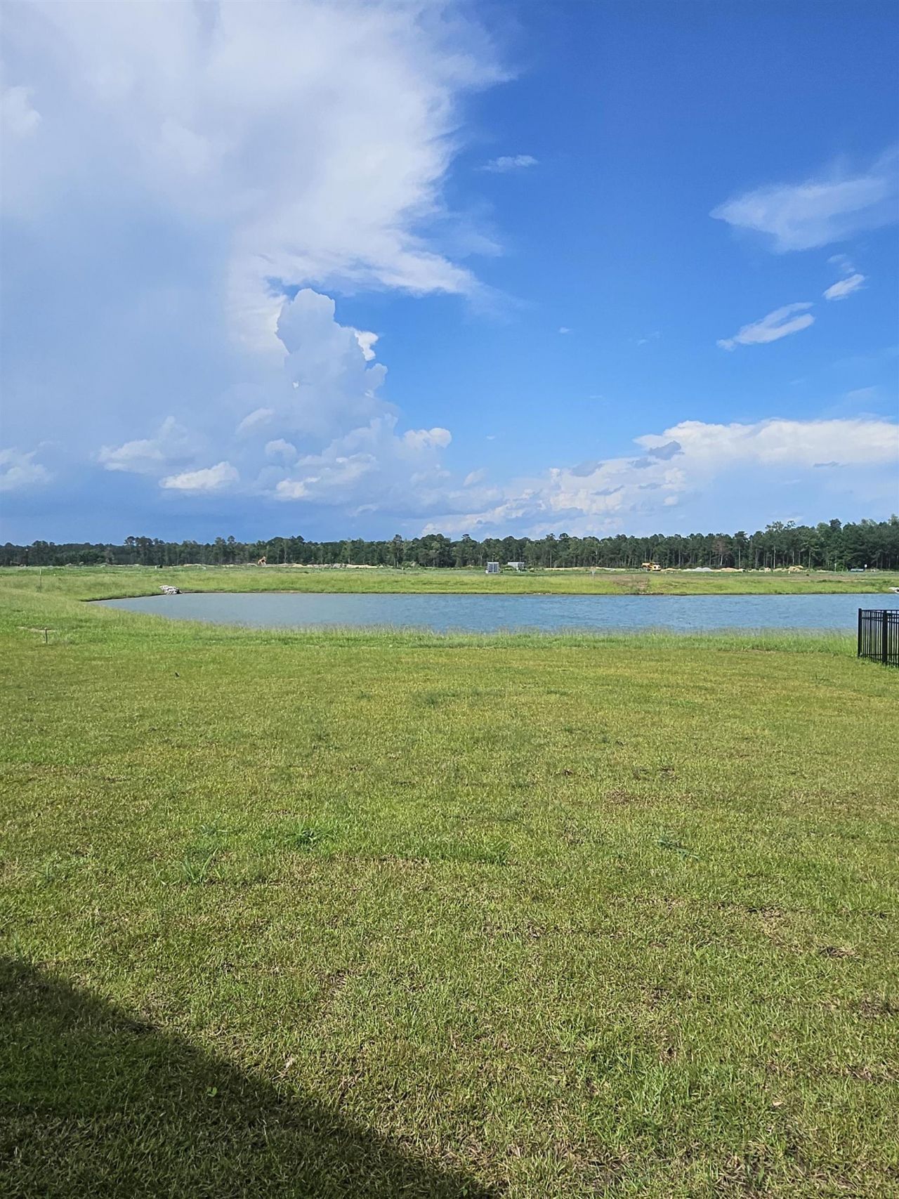 158 River Birch Dr. Photo 28