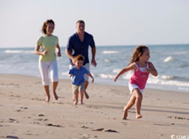 158 River Birch Dr. Photo 6