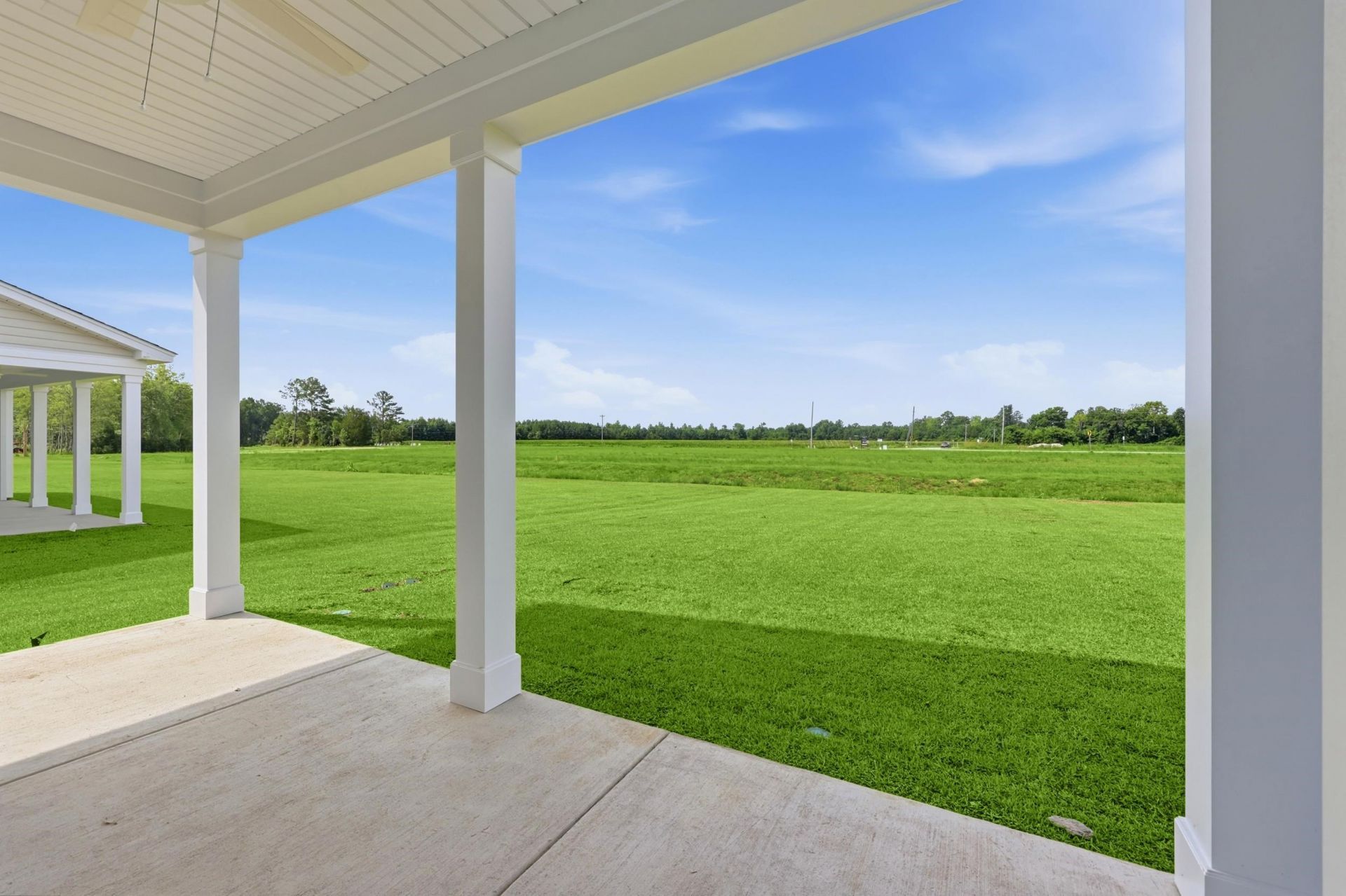 161 River Birch Dr. Photo 31