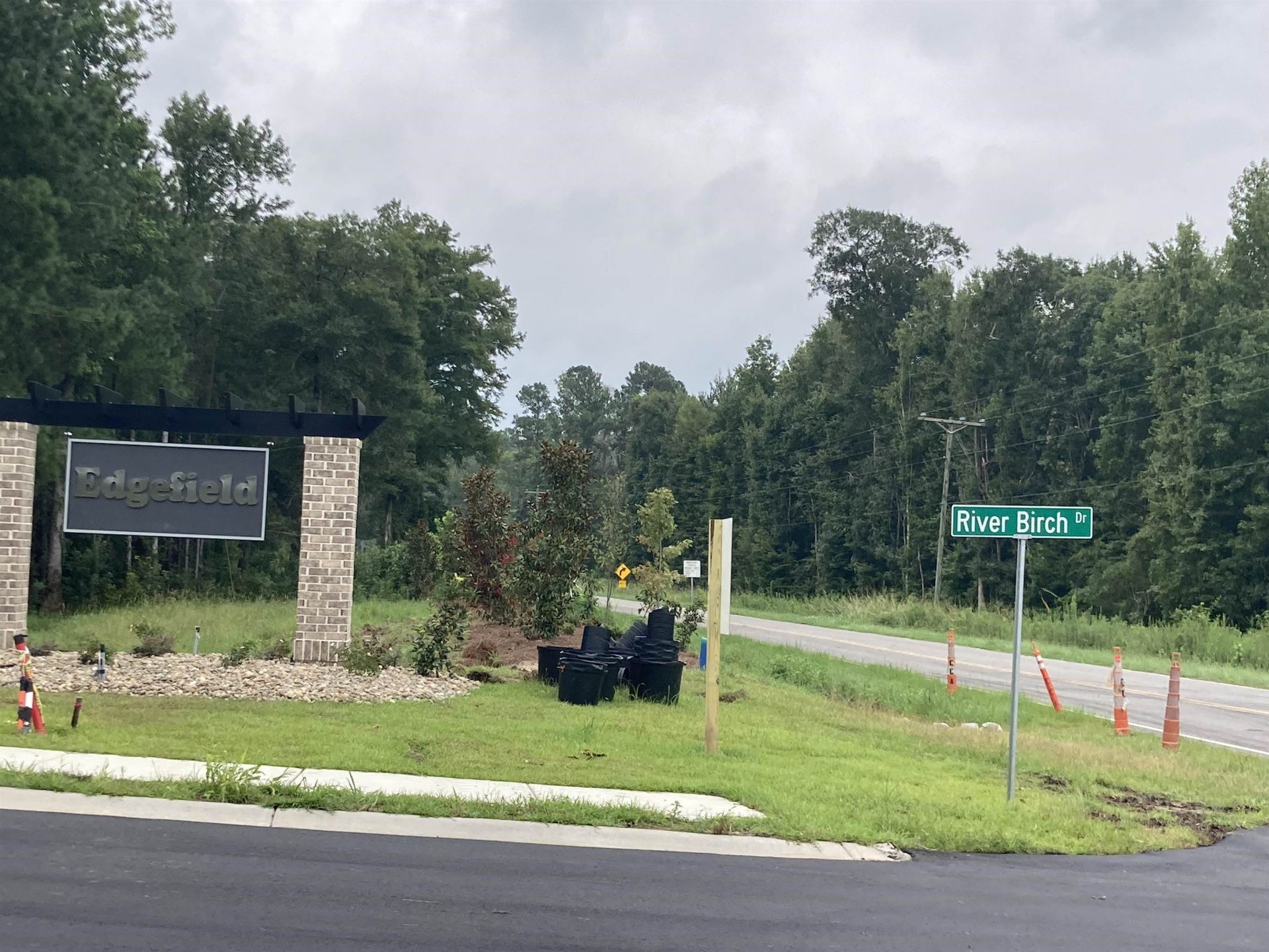 161 River Birch Dr. Photo 32