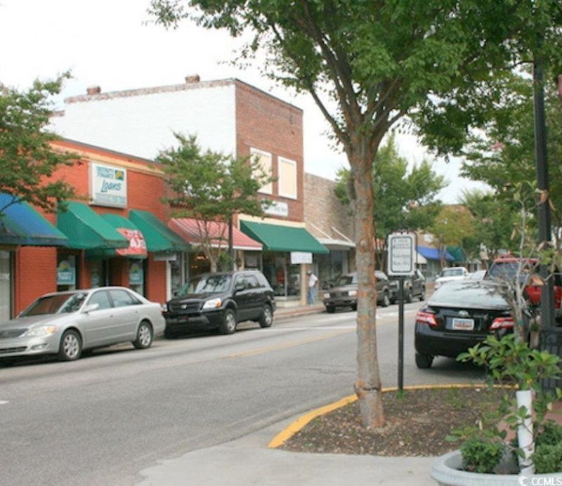 161 River Birch Dr. Photo 36