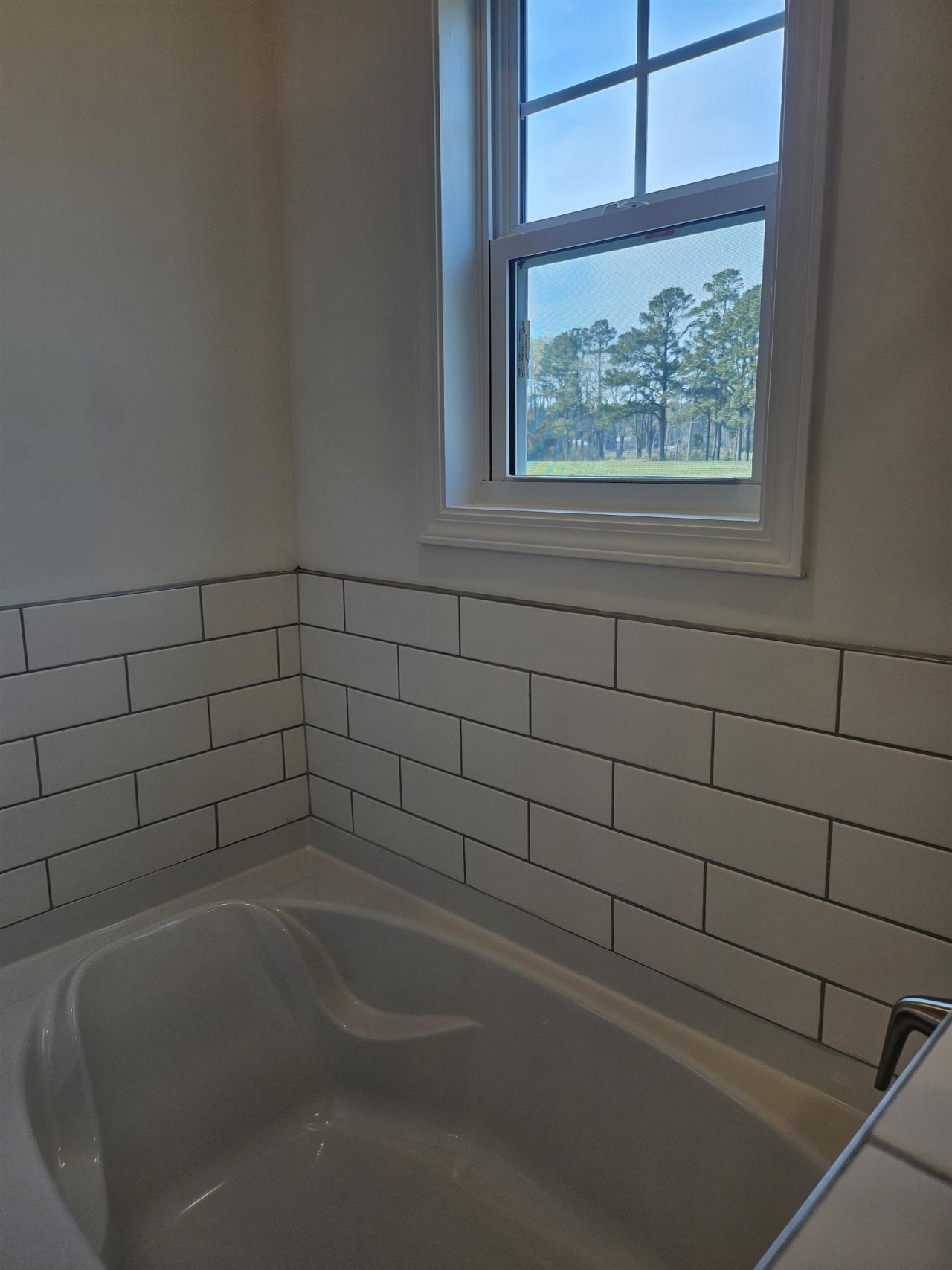 157 River Birch Dr. Photo 13