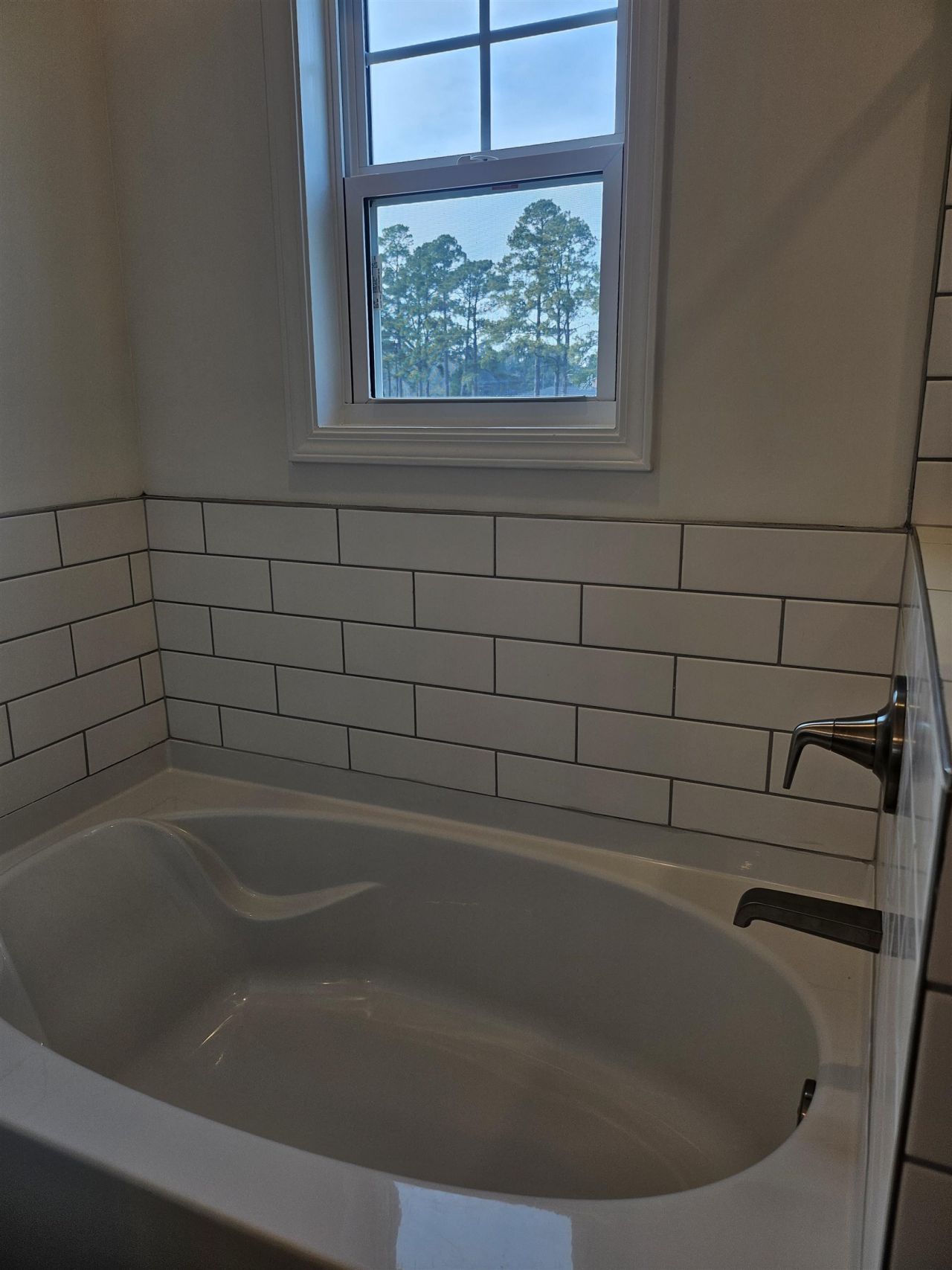 157 River Birch Dr. Photo 18