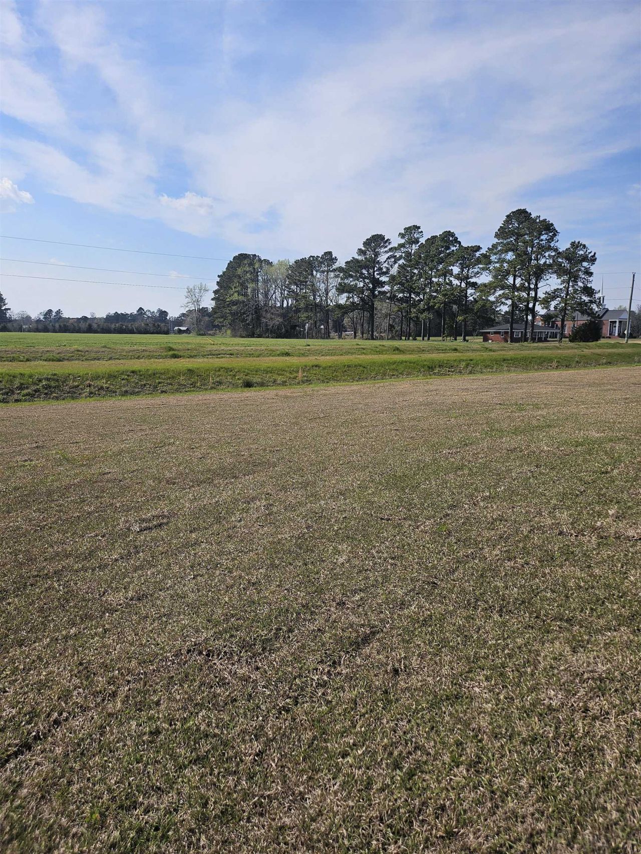 157 River Birch Dr. Photo 19