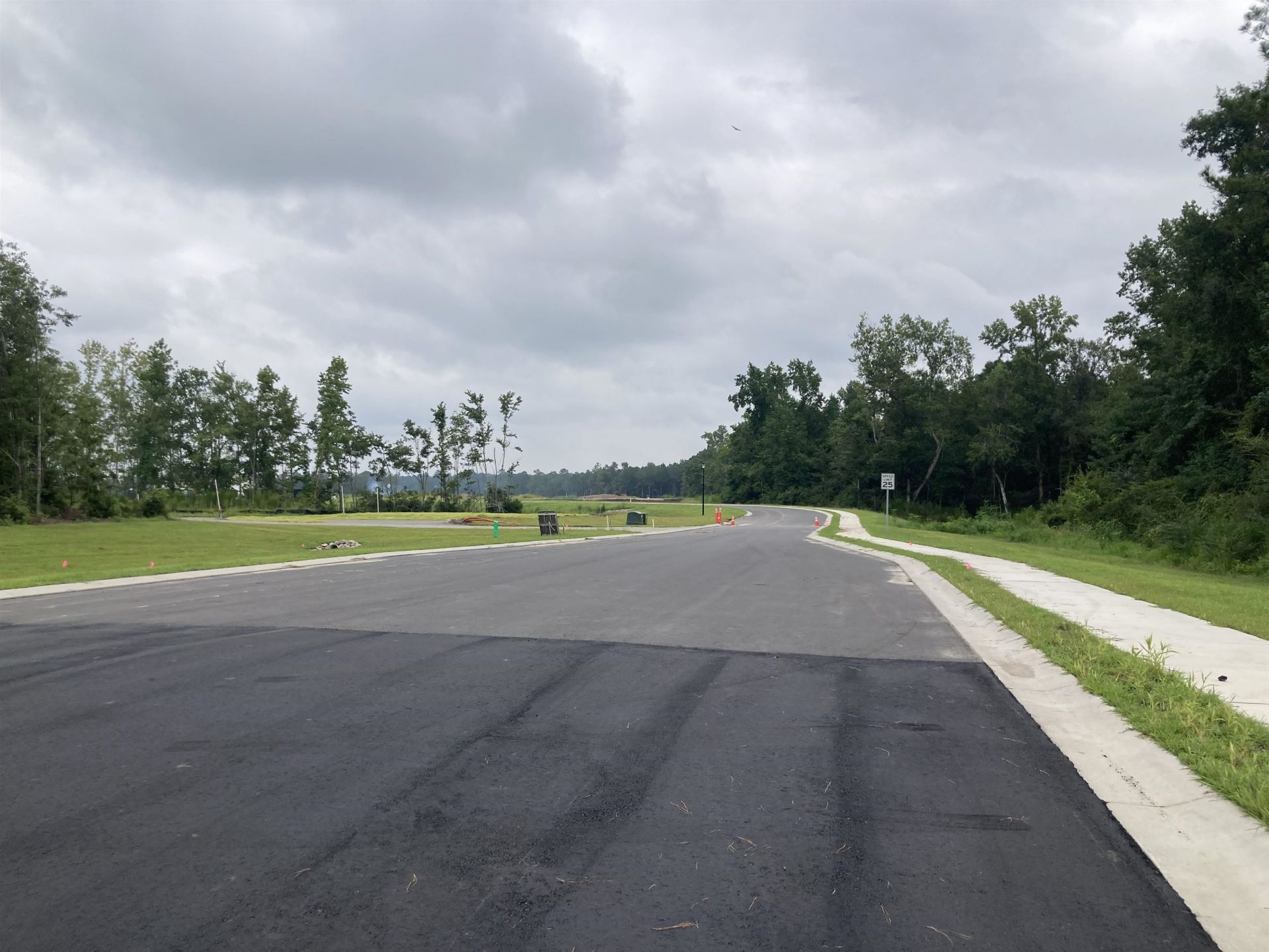 157 River Birch Dr. Photo 23