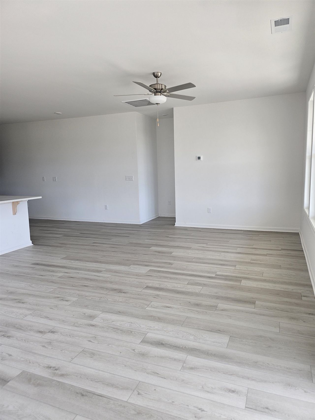 157 River Birch Dr. Photo 4