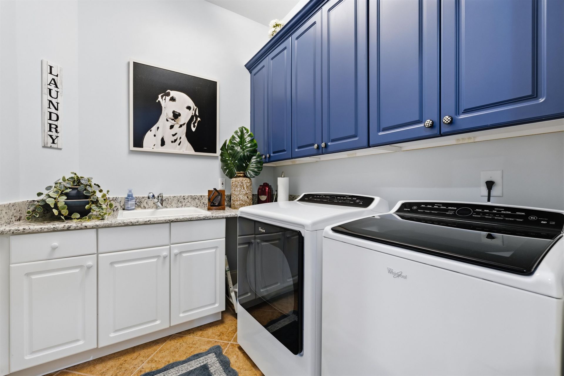 8561 San Marcello Dr. Photo 30