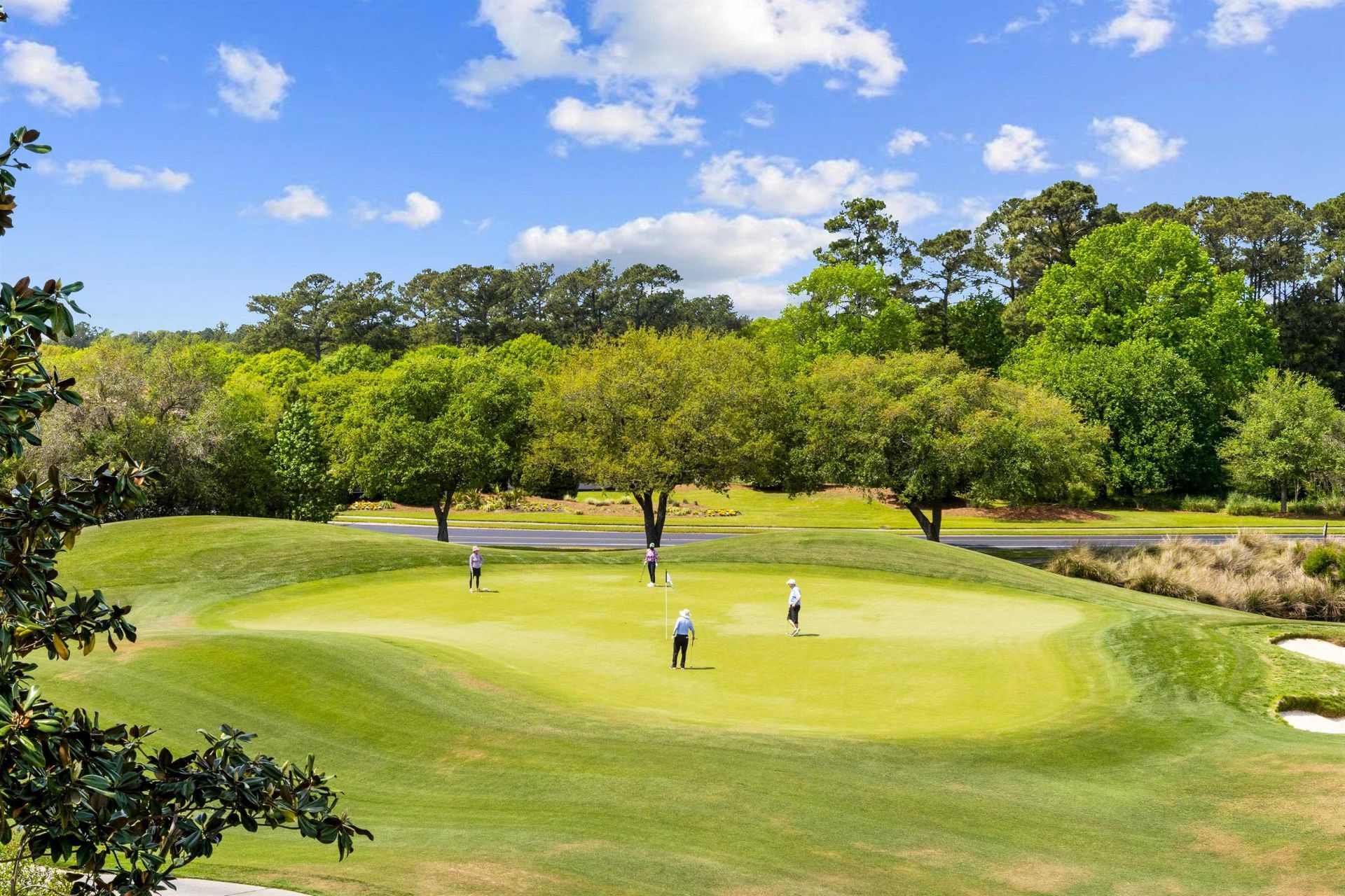 8561 San Marcello Dr. Photo 31