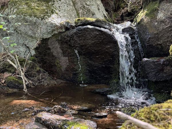 Lot 13 Route 9, Aurora, ME 04428