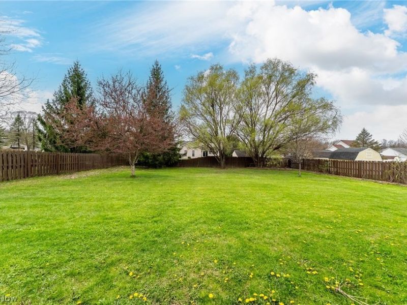 53 Charter Drive, Northfield, OH 44067 Photo 37