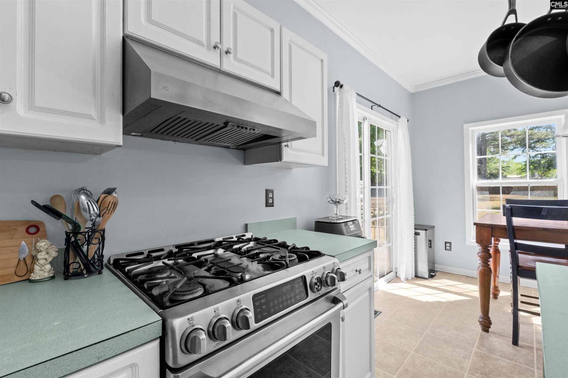 1109 Saluda Chase Way Photo 12