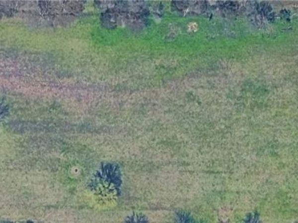 Bloomfield North Road, Gentry, AR 72734