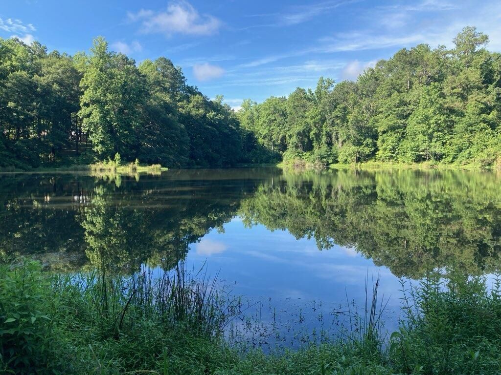 95 Waters Edge Lane, Havana, FL 32333 Photo