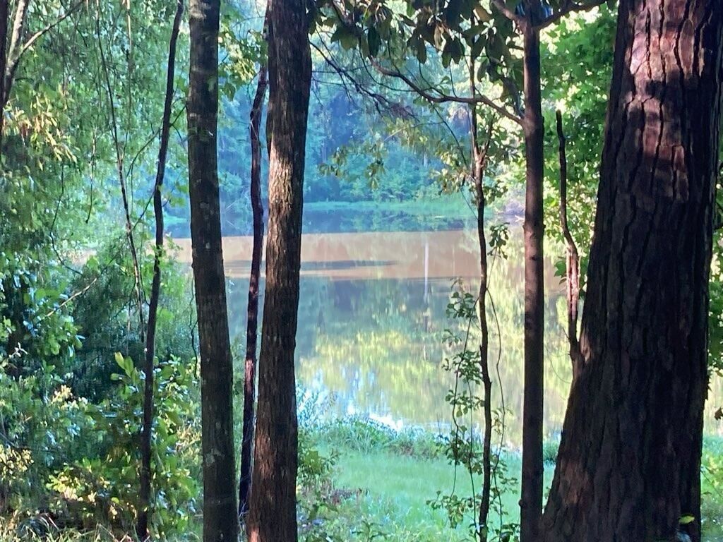 95 Waters Edge Lane, Havana, FL 32333 Photo