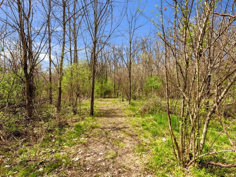 18839 Raymond Road, Marysville, OH 43040 Photo 63