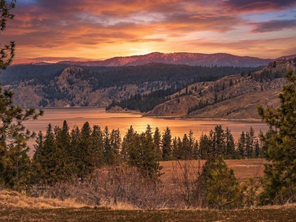 38800 E Sand Flats Dr, Davenport, WA 99122