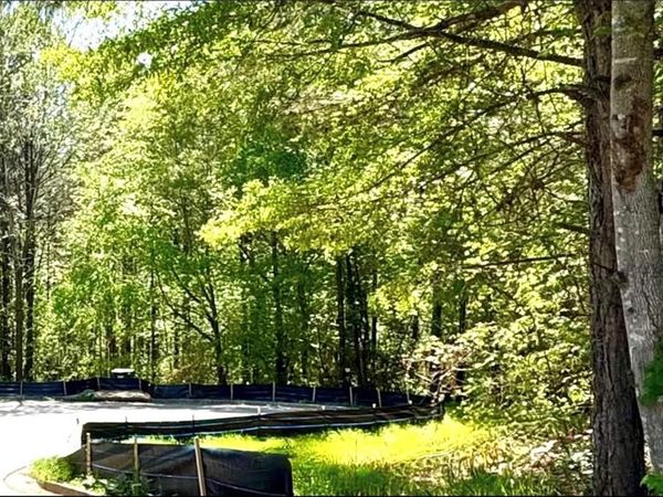 144 Constitution Pointe, Dallas, GA 30132