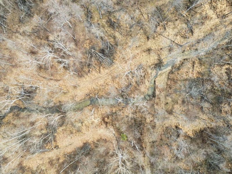 301 Rose Hill Rd, Lewis Twp, OH 45130 Photo 12