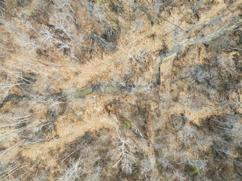 301 Rose Hill Rd, Lewis Twp, OH 45130 Photo 6