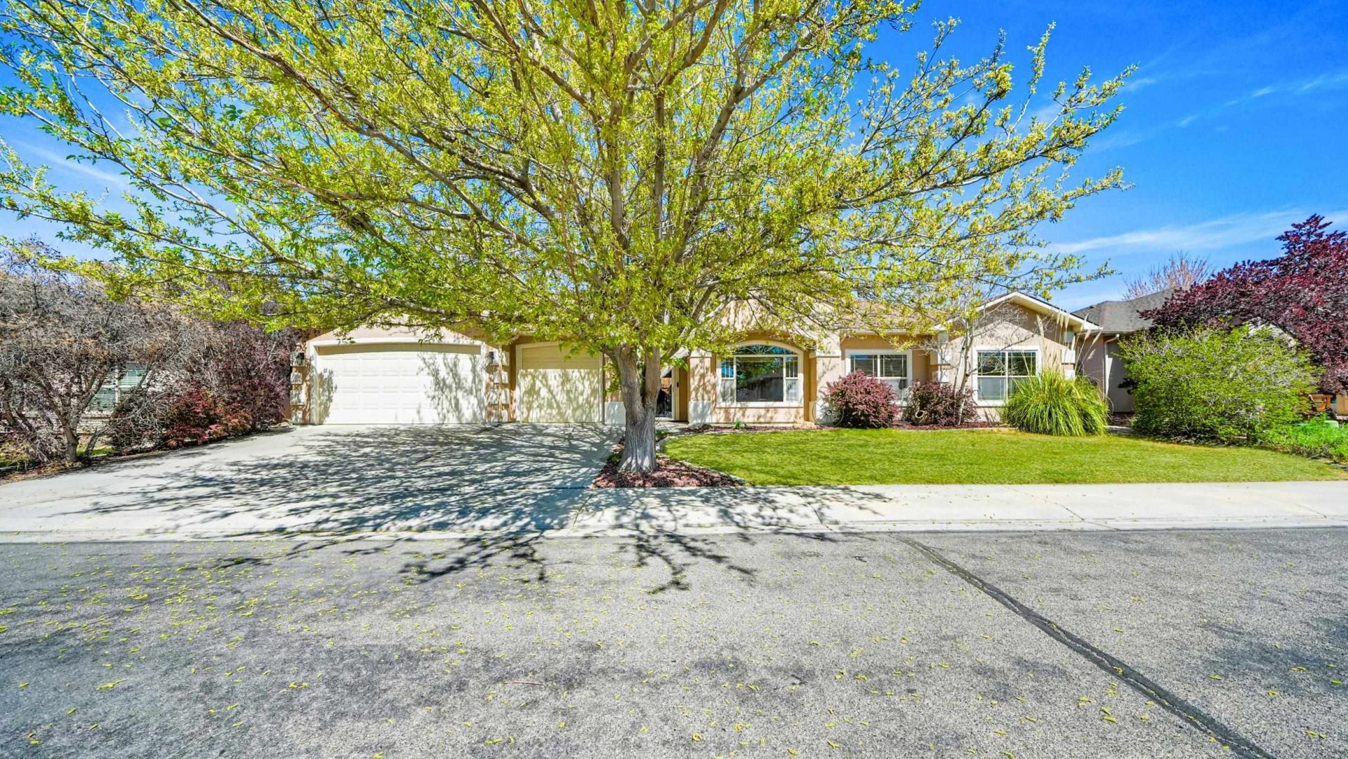 2512 Buchanan Drive, Grand Junction, CO 81505 Main Photo