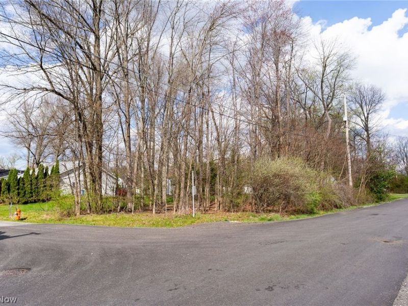 Harbor Avenue, Lake Milton, OH 44429 Photo 12