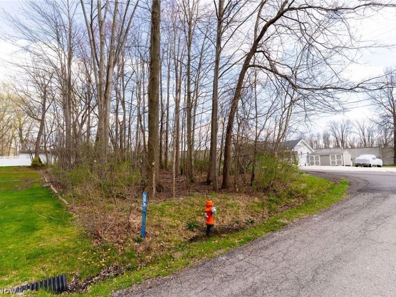 Harbor Avenue, Lake Milton, OH 44429 Photo 16