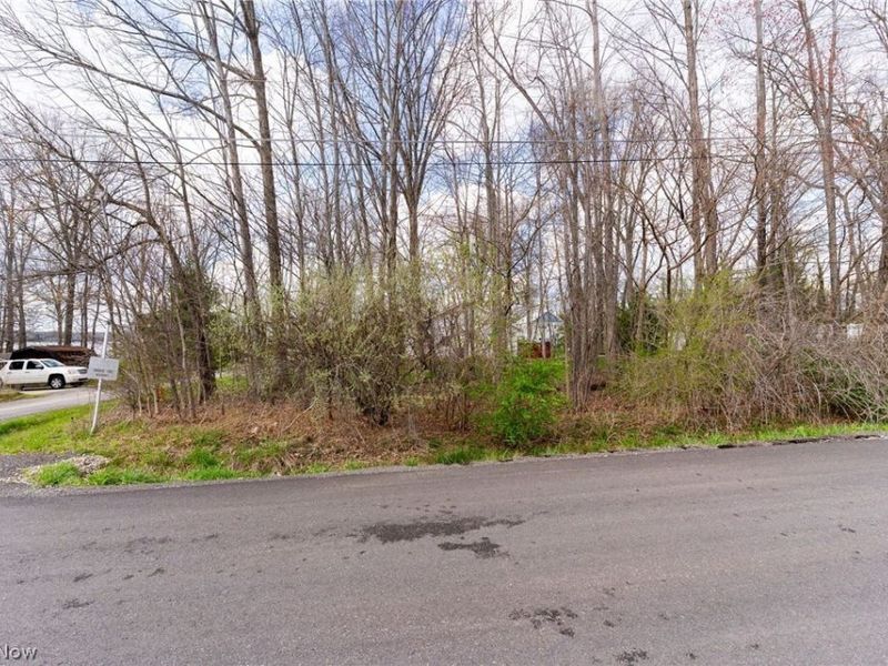 Harbor Avenue, Lake Milton, OH 44429 Photo 17