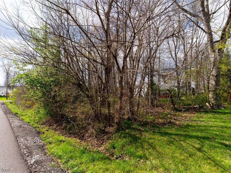 Harbor Avenue, Lake Milton, OH 44429 Photo 19