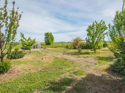 12164 Alabama Rd, Herald, CA 95638 Photo