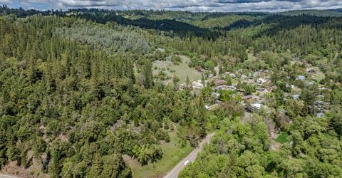 Sutter Creek Volcano Rd, Volcano, CA 95689 Photo