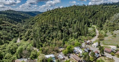 Sutter Creek Volcano Rd, Volcano, CA 95689 Photo