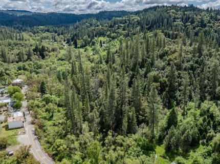 Sutter Creek Volcano Rd, Volcano, CA 95689 Photo