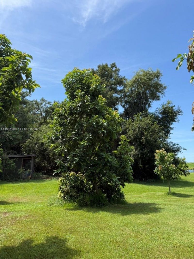 12600 SW Conners Highway, Okeechobee, FL 34974 Photo