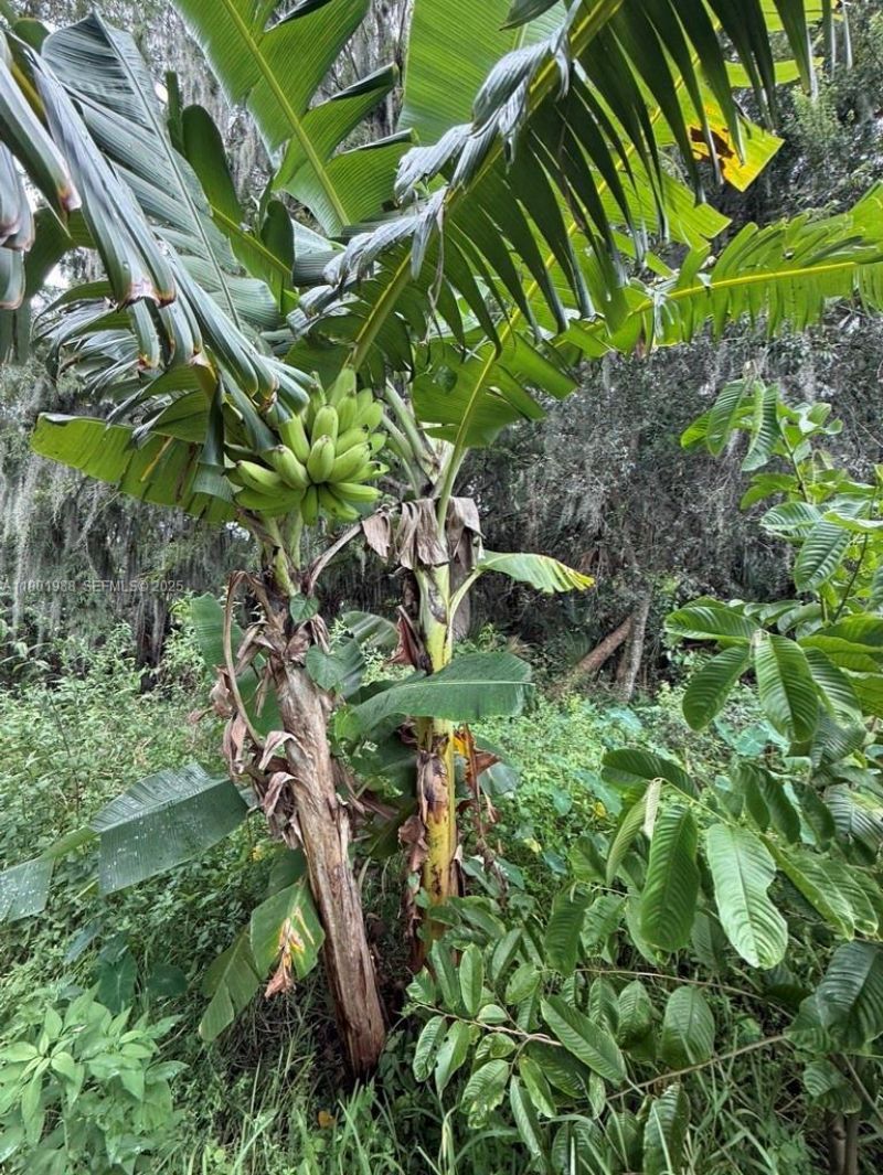 12600 SW Conners Highway, Okeechobee, FL 34974 Photo