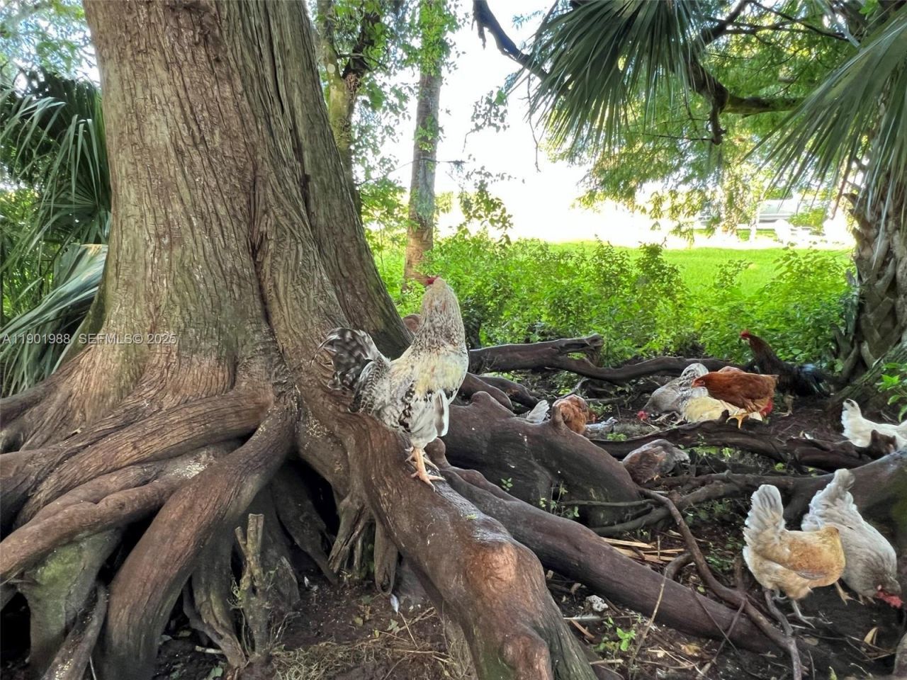 12600 SW Conners Highway, Okeechobee, FL 34974 Photo