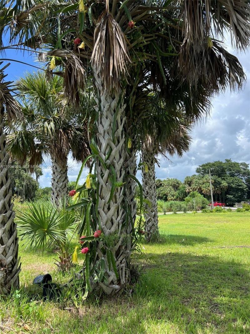 12600 SW Conners Highway, Okeechobee, FL 34974 Photo