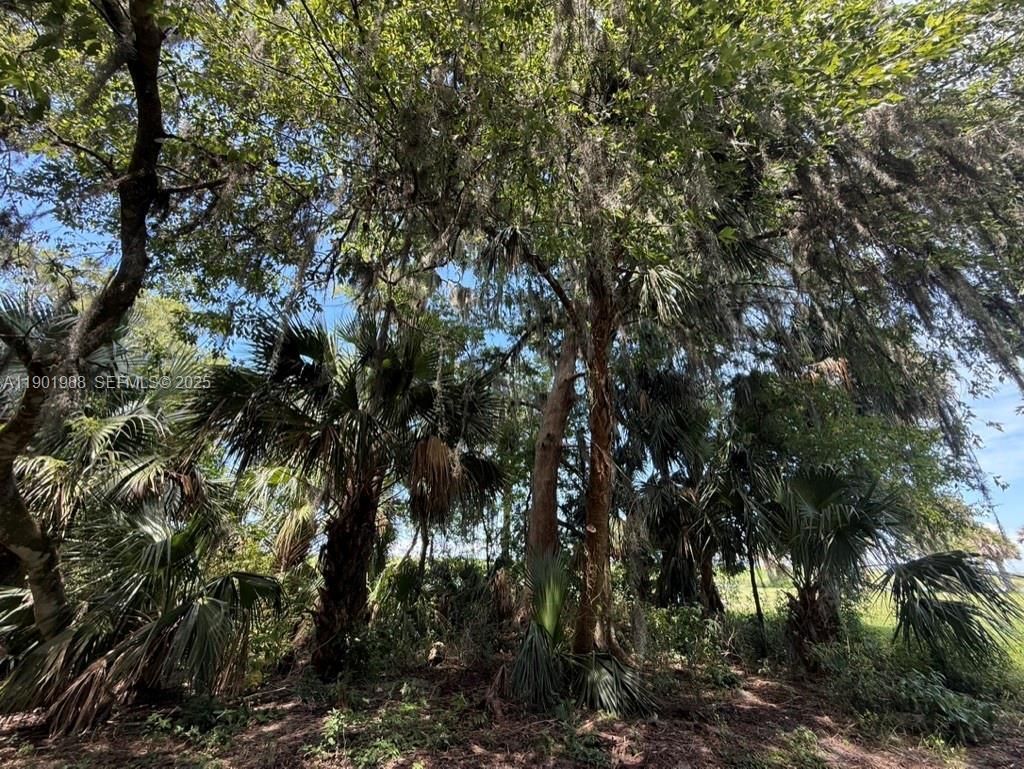 12600 SW Conners Highway, Okeechobee, FL 34974 Photo