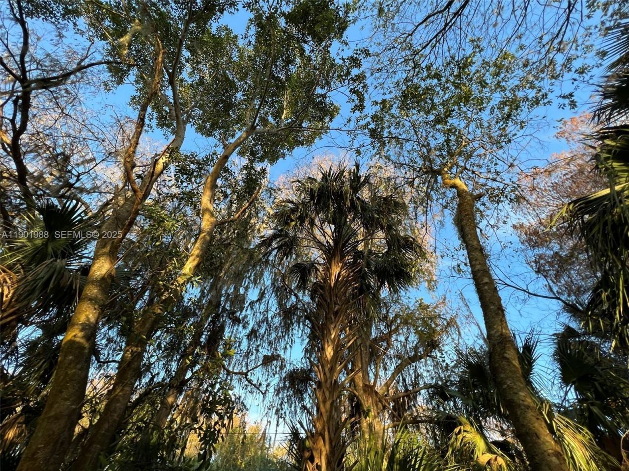 12600 SW Conners Highway, Okeechobee, FL 34974 Photo