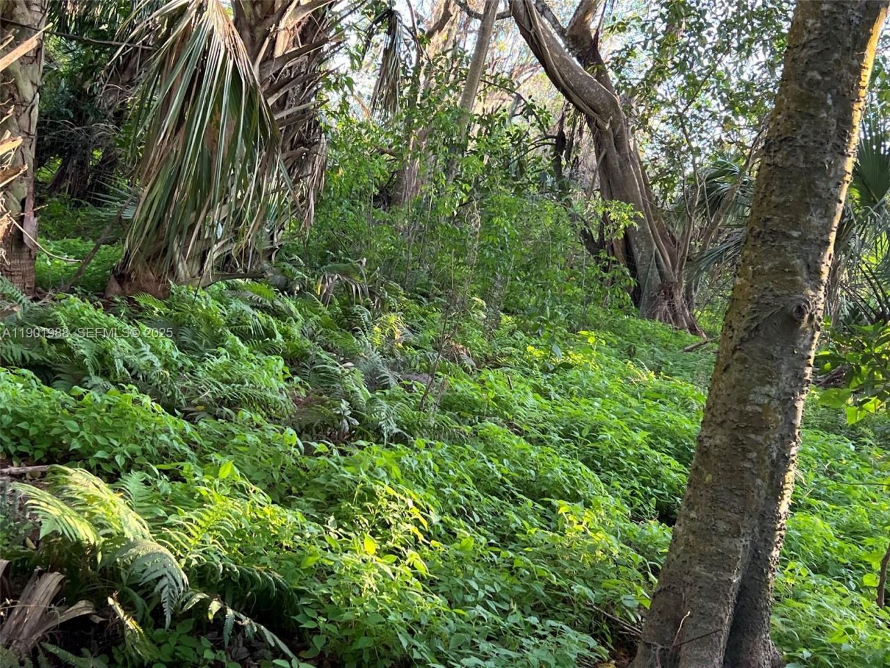 12600 SW Conners Highway, Okeechobee, FL 34974 Photo