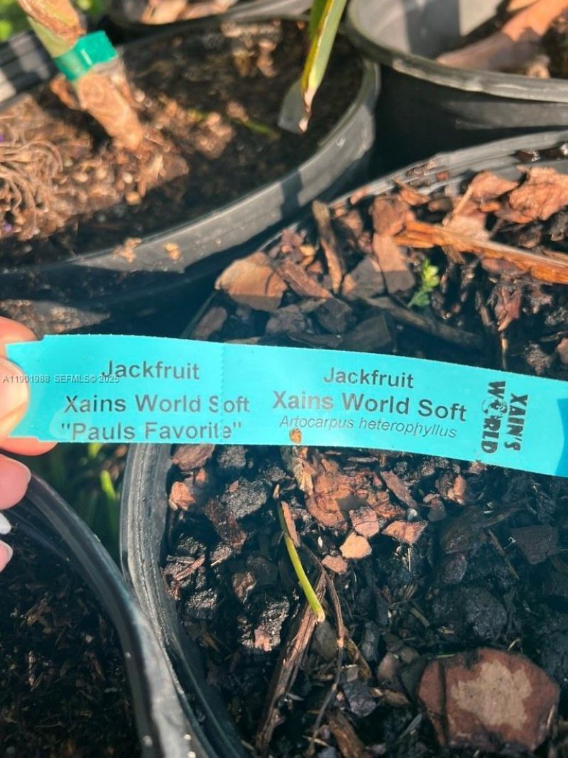 12600 SW Conners Highway, Okeechobee, FL 34974 Photo