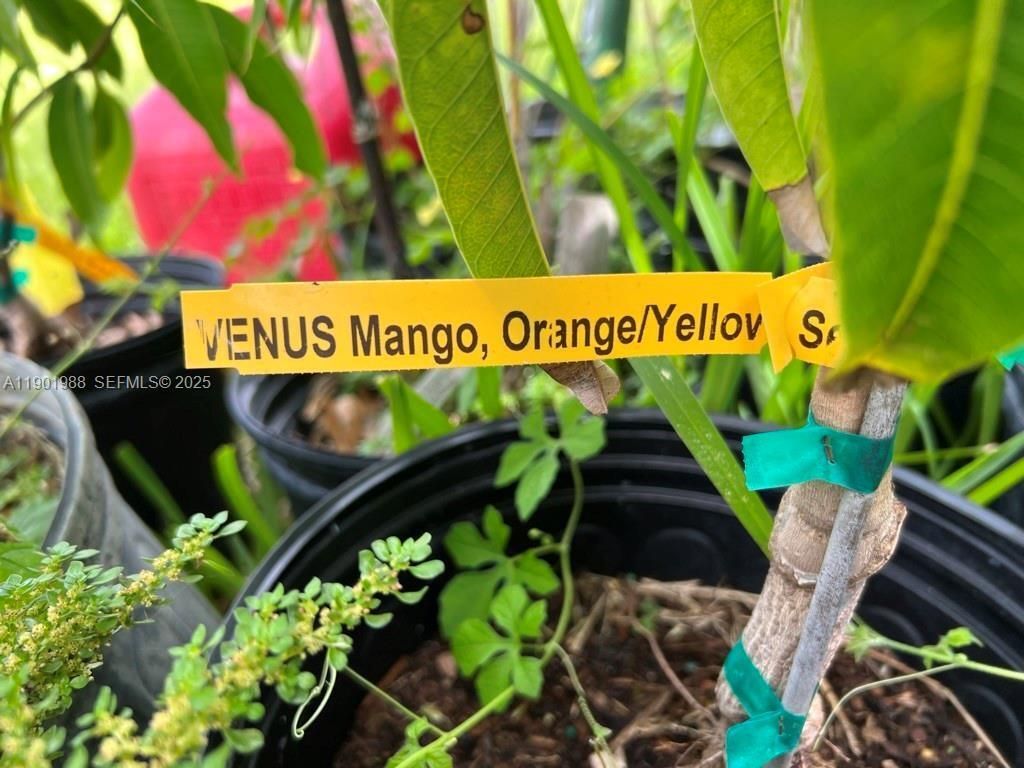 12600 SW Conners Highway, Okeechobee, FL 34974 Photo