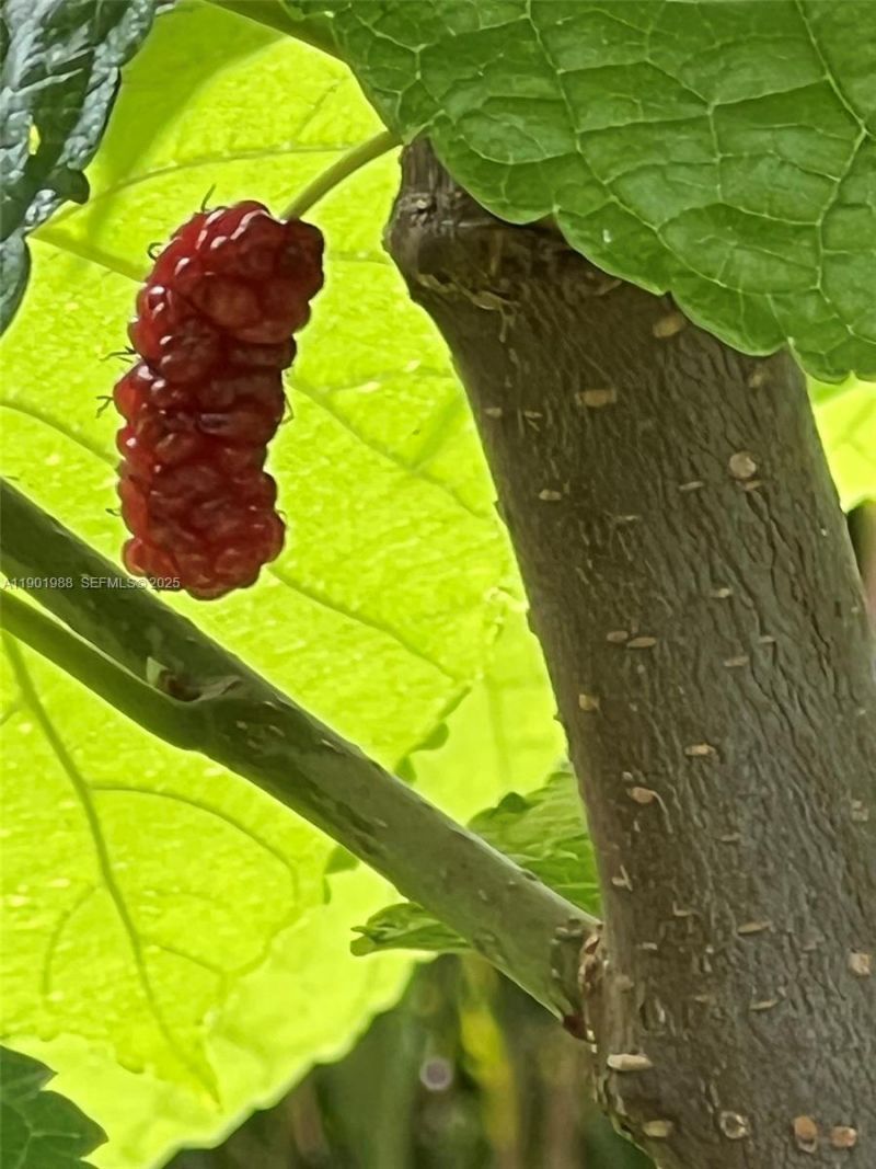 12600 SW Conners Highway, Okeechobee, FL 34974 Photo