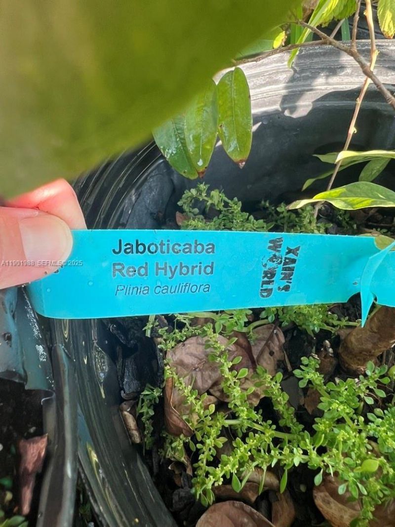 12600 SW Conners Highway, Okeechobee, FL 34974 Photo