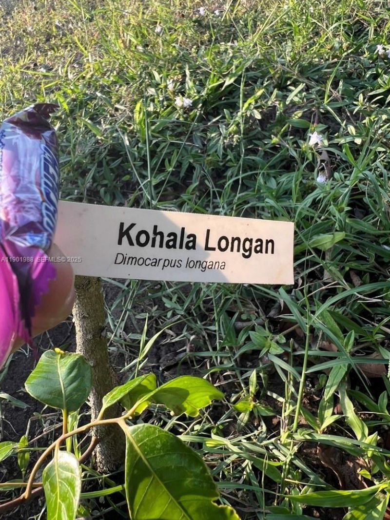 12600 SW Conners Highway, Okeechobee, FL 34974 Photo