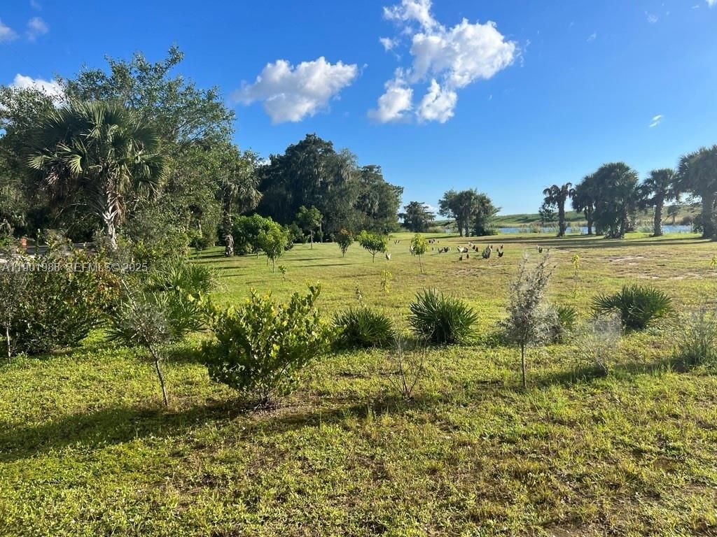 12600 SW Conners Highway, Okeechobee, FL 34974 Photo